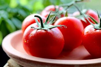 Fresh tomatoes
