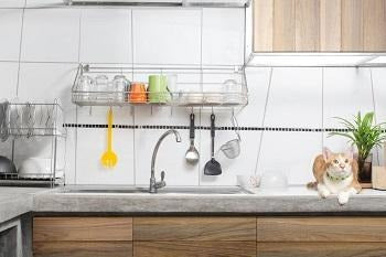 9 Cool Kitchen Gadgets For Mom 2020