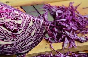 Purple cabbage sliced